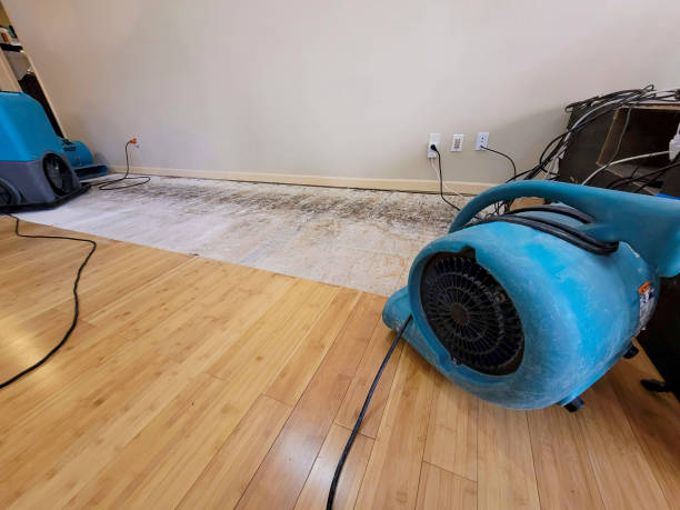 Professional Water Extraction technician working in Chantilly, VA